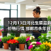 12月13日河北生菜最新价格行情 邯郸市永年县...（图3）