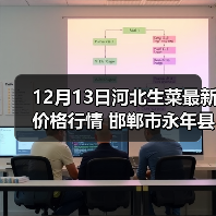 12月13日河北生菜最新价格行情 邯郸市永年县...（图4）