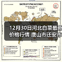 12月30日河北白菜最新价格行情 唐山市迁安市...（图4）