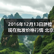 2016年12月13日脐橙现在批发价格行情 北京顺...（图3）