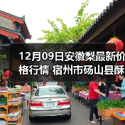 砀山酥梨价格行情与品质优势解析-松松肥园艺土 砀山酥梨价格行情与品质优势解析-松松肥园艺土