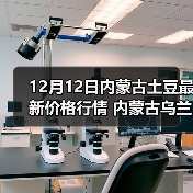 12月12日内蒙古土豆最新价格行情 内蒙古乌兰...（图2）