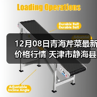 12月08日青海芹菜最新价格行情 天津市静海县...（图4）