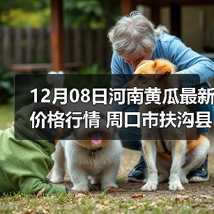 12月08日河南黄瓜最新价格行情 周口市扶沟县...（图2）