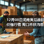 12月08日河南黄瓜最新价格行情 周口市扶沟县...（图4）