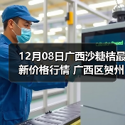 12月08日广西沙糖桔最新价格行情 广西区贺州...（图2）