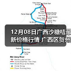 12月08日广西沙糖桔最新价格行情 广西区贺州...（图4）
