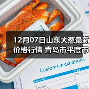 12月07日山东大葱最新价格行情 青岛市平度市...（图4）