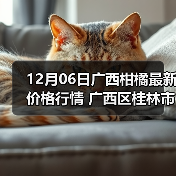 12月06日广西柑橘最新价格行情 广西区桂林市...（图2）