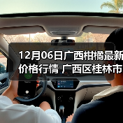 12月06日广西柑橘最新价格行情 广西区桂林市...（图4）