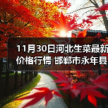 11月30日河北生菜最新价格行情 邯郸市永年县...（图2）
