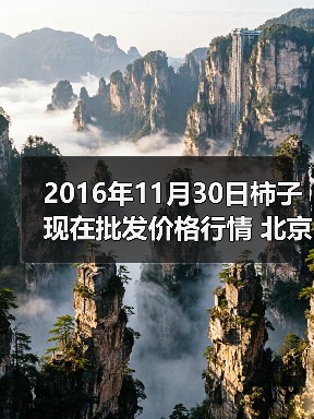 2016年11月30日柿子现在批发价格行情 北京大...（图1）