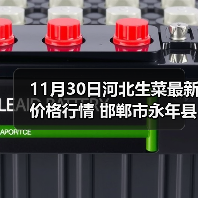 11月30日河北生菜最新价格行情 邯郸市永年县...（图3）