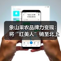 象山果农品牌力变现：将“红美人”销至北上广（图2）