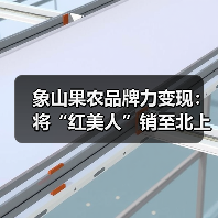 象山果农品牌力变现：将“红美人”销至北上广（图3）