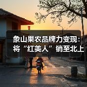 象山果农品牌力变现：将“红美人”销至北上广（图1）