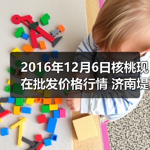 2016年12月6日核桃现在批发价格行情 济南堤口...（图1）