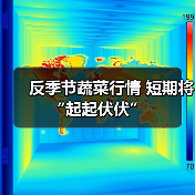 反季节蔬菜行情 短期将“起起伏伏”(图2) 反季节蔬菜行情 短期将“起起伏伏”(图2)