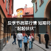 反季节蔬菜行情 短期将“起起伏伏”(图3) 反季节蔬菜行情 短期将“起起伏伏”(图3)