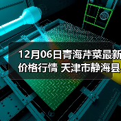 12月06日青海芹菜最新价格行情 天津市静海县...（图3）