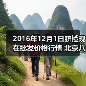 2016年12月1日脐橙现在批发价格行情 北京八里...（图3）