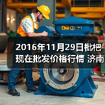 2016年11月29日枇杷现在批发价格行情 济南堤...（图2）