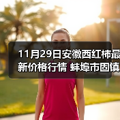 11月29日安徽西红柿最新价格行情 蚌埠市固镇...（图4）