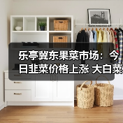 乐亭冀东果菜市场：今日韭菜价格上涨 大白菜...（图2）