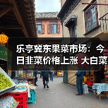 乐亭冀东果菜市场：今日韭菜价格上涨 大白菜...（图4）