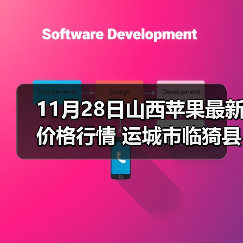 11月28日山西苹果最新价格行情 运城市临猗县...（图4）