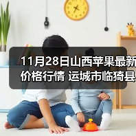 11月28日山西苹果最新价格行情 运城市临猗县...（图2）