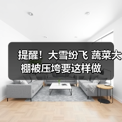 提醒！大雪纷飞 蔬菜大棚被压垮要这样做（图1）