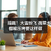 提醒！大雪纷飞 蔬菜大棚被压垮要这样做（图2）