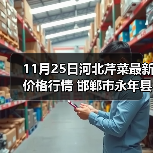 11月25日河北芹菜最新价格行情 邯郸市永年县...(图3) 11月25日河北芹菜最新价格行情 邯郸市永年县...(图3)
