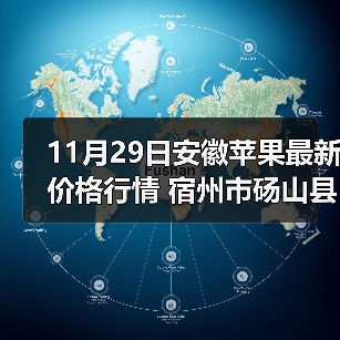 11月29日安徽苹果最新价格行情 宿州市砀山县...（图3）