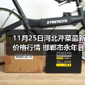 11月25日河北芹菜最新价格行情 邯郸市永年县...(图4) 11月25日河北芹菜最新价格行情 邯郸市永年县...(图4)