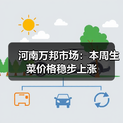 河南万邦市场：本周生菜价格稳步上涨（图3）