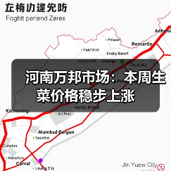 河南万邦市场：本周生菜价格稳步上涨（图2）