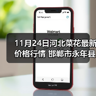 河北永年县菜花价格1.3元/斤 信用度高包装齐全-松松肥园艺土