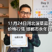 11月24日河北菠菜最新价格行情 邯郸市永年县...（图2）