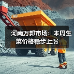 万邦市场蔬菜价格波动分析及重点品种趋势解读-松松肥园艺土