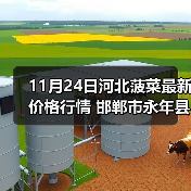 河北大叶菠菜价格波动 永年县与大名县行情对比 其他农产品价格预测-松松肥园艺土