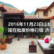 2016年11月23日山楂现在批发价格行情 济南堤...(图2) 2016年11月23日山楂现在批发价格行情 济南堤...(图2)