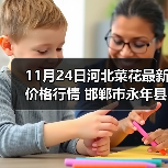 11月24日河北菜花最新价格行情 邯郸市永年县...(图3) 11月24日河北菜花最新价格行情 邯郸市永年县...(图3)