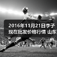 2016年11月21日李子现在批发价格行情 山东滕...（图4）