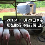 2026年农产品价格波动分析：十大热门品种行情全解读-松松肥园艺土