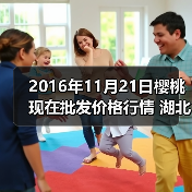 2016年11月21日樱桃现在批发价格行情 湖北武...（图4）
