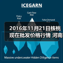2016年11月21日核桃现在批发价格行情 河南万...（图4）