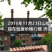 2016年11月23日山楂现在批发价格行情 济南堤...(图3) 2016年11月23日山楂现在批发价格行情 济南堤...(图3)