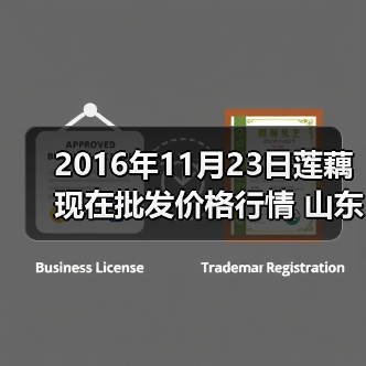 2016年11月23日莲藕现在批发价格行情 山东滕...（图2）